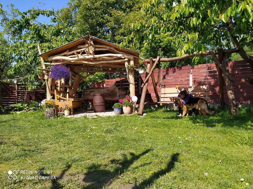 Agroturystyka Pod Kogutem Zamosc  Exterior photo