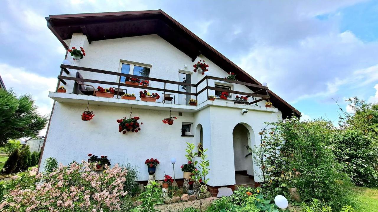 Agroturystyka Pod Kogutem Zamosc  Exterior photo